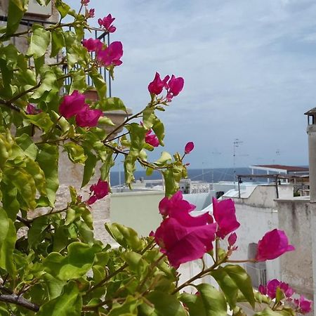 La Casetta Nel Vico Polignano a Mare Dış mekan fotoğraf