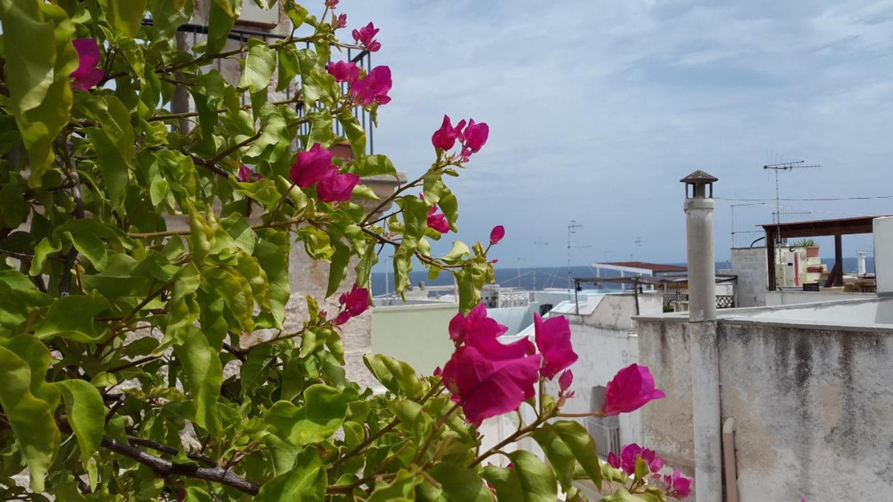 La Casetta Nel Vico Polignano a Mare Dış mekan fotoğraf